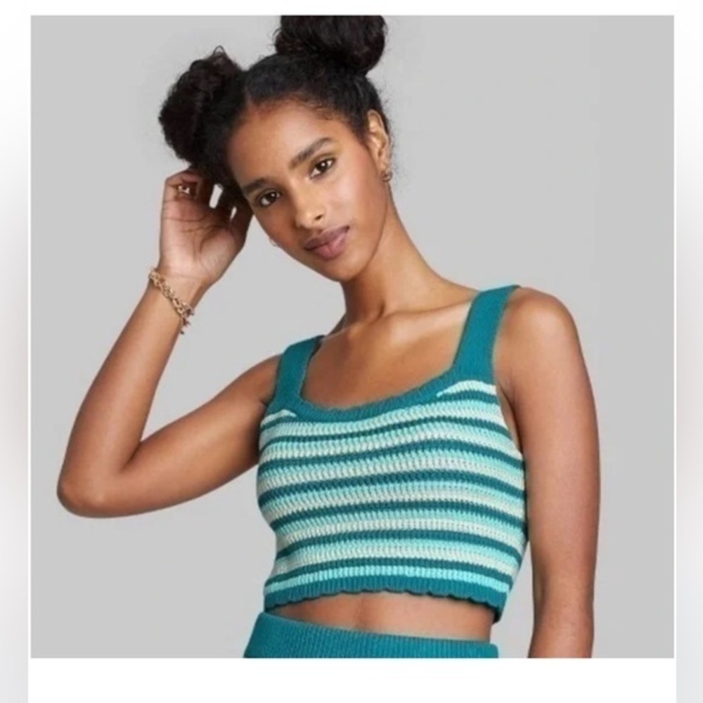 NWT Wild Fable Striped Teal and White Knit Crop Top
